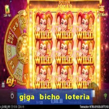 giga bicho loteria dos sonhos